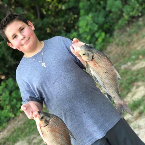 Meet your Posher, Ivan - Picture 1 of 1